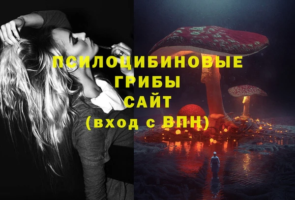 дурь Аркадак