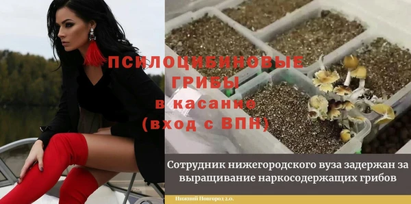 дурь Аркадак